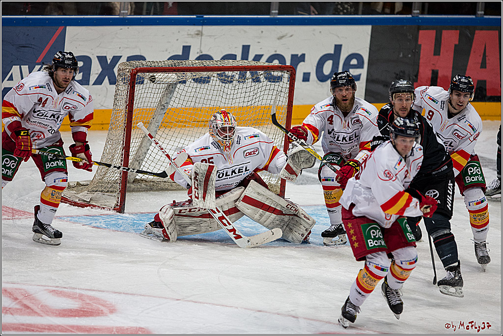 DEL, Koelner Haie - Duesseldorfer EG, 14.02.2017